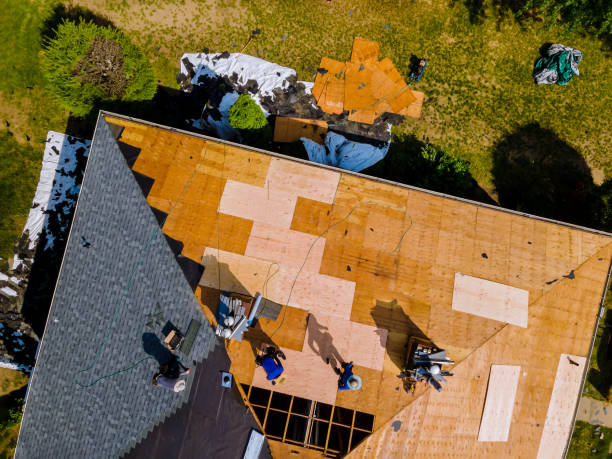 Best Flat Roof Repair Services  in Balch Springs, TX